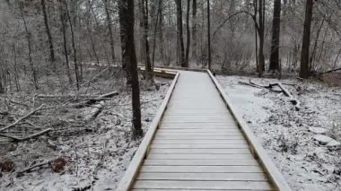 Karla kaplı bataklıkta yürüyorum.