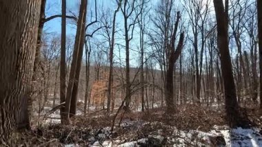 Ocak ayında parkta karlı ve buzlu patikada yürüyüş