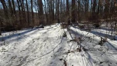 Ocak ayında parkta karlı ve buzlu patikada yürüyüş