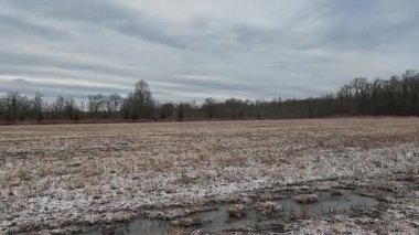 Ocak ayında kar tozu ile bataklıkta 