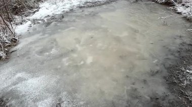 Ocak ayında kar tozuyla bataklıkta buzlu patikada yürüyüş yapmak 