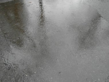 Kışın sonunda bir su birikintisine yağmur yağıyor.