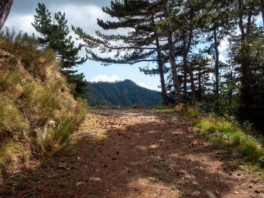 Fransa 'nın güney Alplerindeki tepelerde toprak yol