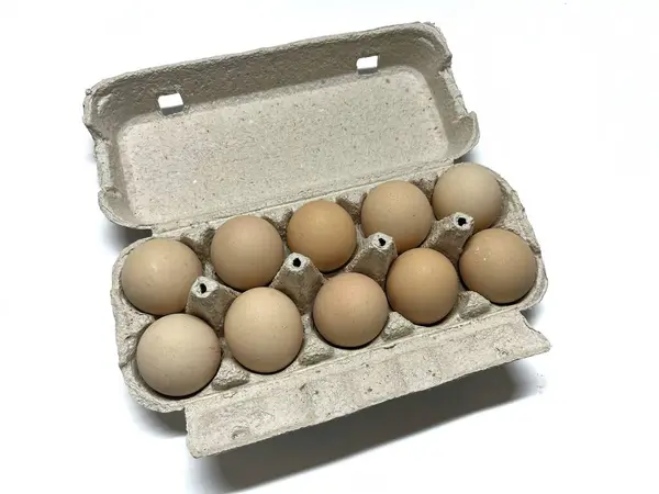 Beyaz arka planda izole edilmiş karton kutuda on organik tavuk yumurtası. Yumurta kutusu.