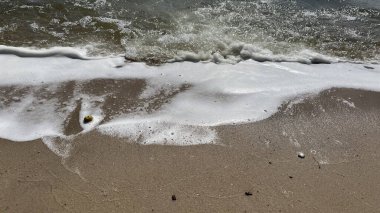 Baltık Denizi kıyısında dalgalar kopuyor.