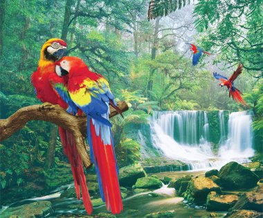  parrot in the forest. clipart