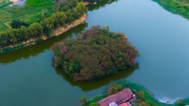 Sakin bir hava manzarası, kırsal bir gölün yumuşak sularıyla çevrili yemyeşil bir adanın huzur verici güzelliğini yakalıyor. Huzurlu bir izolasyon ve doğal uyumu çağrıştırıyor. Yüksek kalite fotoğraf