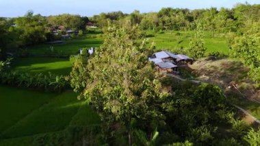 Stunning overhead shot of pristine resort pool complex nestled within verdant tropical landscape setting
