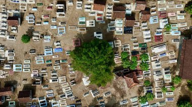 Kalabalık bir Endonezya mezarlığı, renkli mezarlar ve merkezi yeşil bir ağaç. Yüksek kalite fotoğraf
