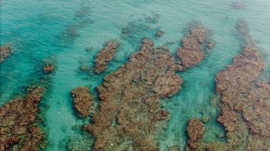 Yüzeyin altında büyük, karmaşık bir mercan resifi ya da kayalık deniz yatağı oluşumunu ortaya çıkaran sığ, berrak bir turkuaz okyanus suyunun yukarıdan aşağıya havadan görünüşü. Yüksek kalite fotoğraf