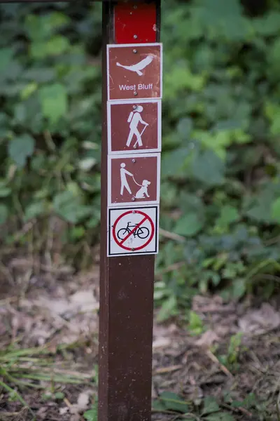 Park yolu işaretleri köpek tasması takıyor, bisiklete binmiyor. Yüksek kalite fotoğraf