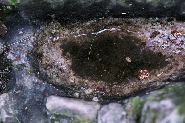 Kaya yosununda su birikintisi. Yüksek kalite fotoğraf