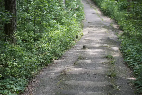 Yol Resim Bir, Devils Gölü. Yüksek kalite fotoğraf