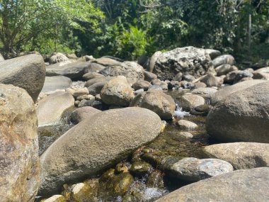 Kutsal taşlar ve nehirler