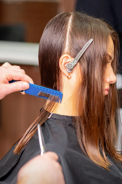 Hairdresser divides long hair into sections with the comb of a young caucasian brunette woman in a hair salon, side view