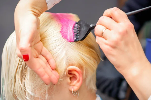 在美发厅的一位年轻金发女子的白头发上涂上粉红的刷子 — 图库照片