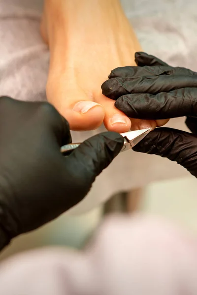 Professional Pedicure Pedicure Master Wearing Latex Gloves Cuts Female Toenails — Stock Photo, Image