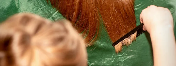Fryzjer Robi Fryzurę Czesa Długie Włosy Brunetki Salonie Piękności — Zdjęcie stockowe