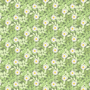 Yapraklı papatya çiçeklerinin kusursuz deseni, vektör çizimi. Duvar kağıdı, moda, tekstil, kumaş, ambalaj ve yeşil üzerindeki tüm baskılar için tasarım