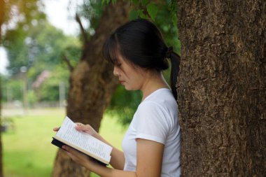 Genç Asyalı kadın parkta bir ağacın altında kitap okuyor. Okuma, tatil, tatil aktiviteleri, açık hava aktiviteleri, yaşam tarzı ve hobi kavramı.                               