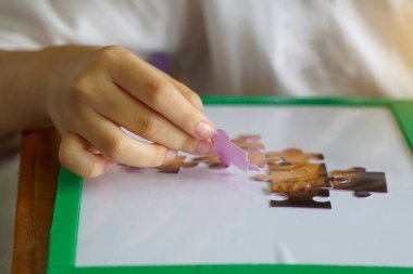 Taylandlı öğrenciler Tayland 'ın Ulusal Bilim Günü' nde bilim öğrenme üssünde önemli bilim insanlarının bulmacalarını oluşturuyorlar. Yumuşak ve seçici odak.                               