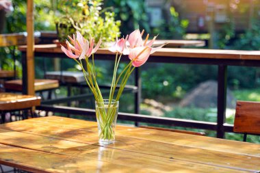Temiz cam bir vazoda bir buket pembe anthurium çiçeği yemek masasını süslüyor. Küçük, şirin, güzel çiçekleri olan bir çeşitlilik..                                