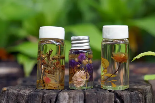 stock image Plant pickling is a scientific experiment in which plant samples are kept in clear glass jars and soaked with chemicals that preserve the natural color and freshness of the plants for a long time.                               