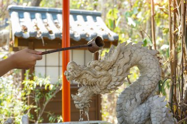 Hand holding a bamboo ladle to scoop water from a sacred well at a Japanese shrine or temple, sprinkling it on a dragon statue, this is called Chozuya.                            clipart