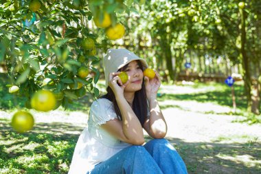 Taylandlı kadın turistler, Kuzey Tayland 'da organik bir portakal çiftliğinde portakal pozu veriyorlar. Bu pozlar turistlerin meyve bahçesinden istedikleri gibi portakal toplamalarına olanak sağlıyor..                               