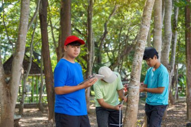 Asyalı çocuk ağaçların karbon depolamasını hesaplamak için arkadaşları tarafından ölçülen ağaçlar hakkında notlar alıyor. Sınıf dışında çevre, küresel ısınma ve karbon kredileri hakkında bilgi edinme kavramı.                               