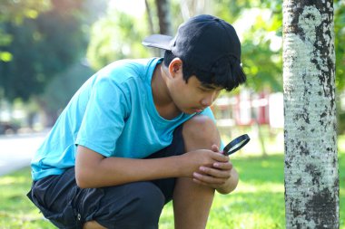  Asyalı çocuk detaylara daha iyi bakabilmek için palmiye ağacında yetişen kertenkelelere bakmak için büyüteç kullanıyor..                               