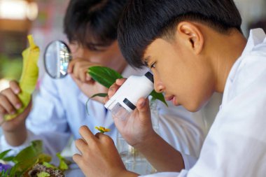 Asian students study plants outside of the classroom, using handheld microscopes and magnifying glasses to zoom in on details of plant components.                                 clipart