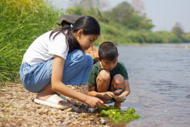 Çocuklar nehir kenarındaki bir bölgeyi keşfederken buldukları tatlı su yosunlarına bakmak için büyüteç kullanıyorlar. Açık hava aktiviteleri, keşif, doğa, öğrenme kavramı.                             