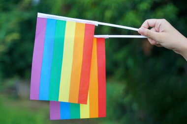  Asyalı bir kadın, bileğindeki ağaçların yeşil arka planında bir gökkuşağı bayrağı taşıyor. Üzerinde PRIDE ve gökkuşağı bilekliği yazılı siyah bir bileklik var. lgbt gururunun sembolü.                               