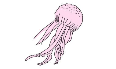 Sevimli denizanası vektör illüstrasyonunun çizgi sanat rengi