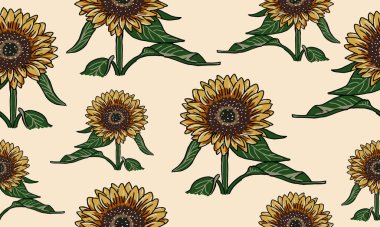 Çiçeksiz desenlerin çizim vektörü grafiği, güneş çiçeği vektör arkaplanı