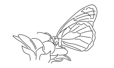 Kelebek çizgisi ve çiçek vektör çizimi