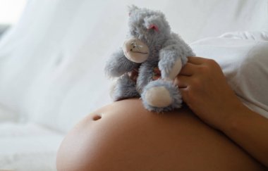 Doldurulmuş bir hayvana hamile kadın göbeği. Hamilelik ve şefkat sırasında bekleme kavramı. Kopyalama alanı için izole arkaplan