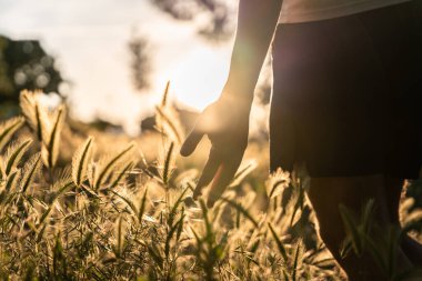 Bir adamın eli buğday tarlasında yürürken bir anlık sessizlik ve bağlantı..