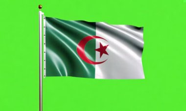 Cezayir bayrağı rüzgarda dalgalanıyor.
