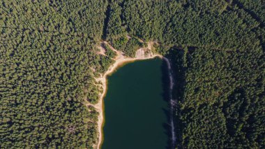 Litvanya Gölü 'nün Sandy Sahili ve Ormanı, Ogre ve Zilie Kalni ile Havadan Görüntüsü