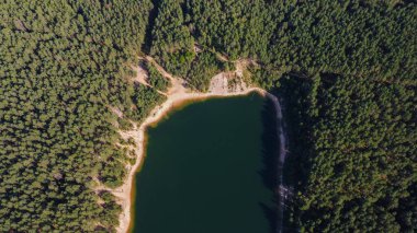 Litvanya Gölü 'nün Sandy Sahili ve Ormanı, Ogre ve Zilie Kalni ile Havadan Görüntüsü