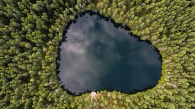 Ormanla çevrili Letonya Gölü 'nün havadan görünüşü. Velnezers, Certoka ezers Aglona.
