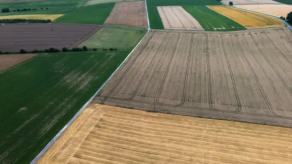 Kahverengi ve yeşil tarım alanlarının havadan görünüşü
