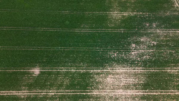 Yazın tarım alanının havadan görünüşü, tarım makinelerinin izleri.