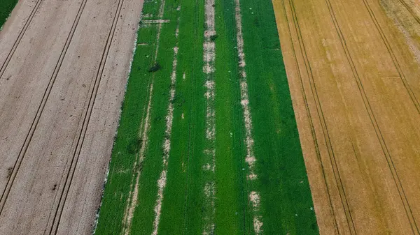 Yazın tarım alanının havadan görünüşü, tarım makinelerinin izleri.