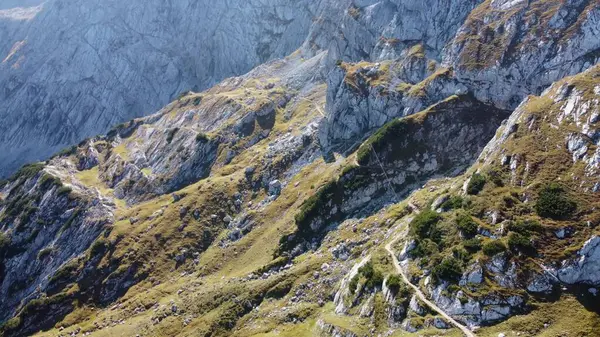 Majestic Dağları ve Alp Sahnesi, Alpler, Almanya 'nın insansız hava aracı videosu