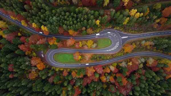 Yılan Yollu Sonbahar Ormanı İnsansız Hava Aracı