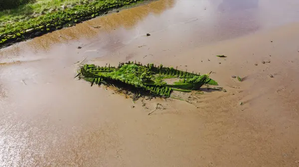 Sandy Shore, Ballina, İrlanda, Co. Mayo 'da yosun kaplı gemi enkazı..
