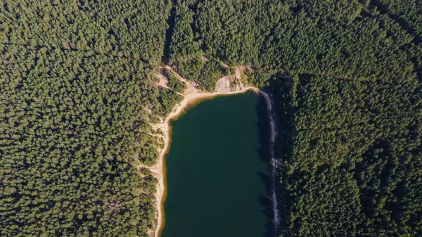 Litvanya Gölü 'nün Sandy Sahili ve Ormanı, Ogre ve Zilie Kalni ile Havadan Görüntüsü